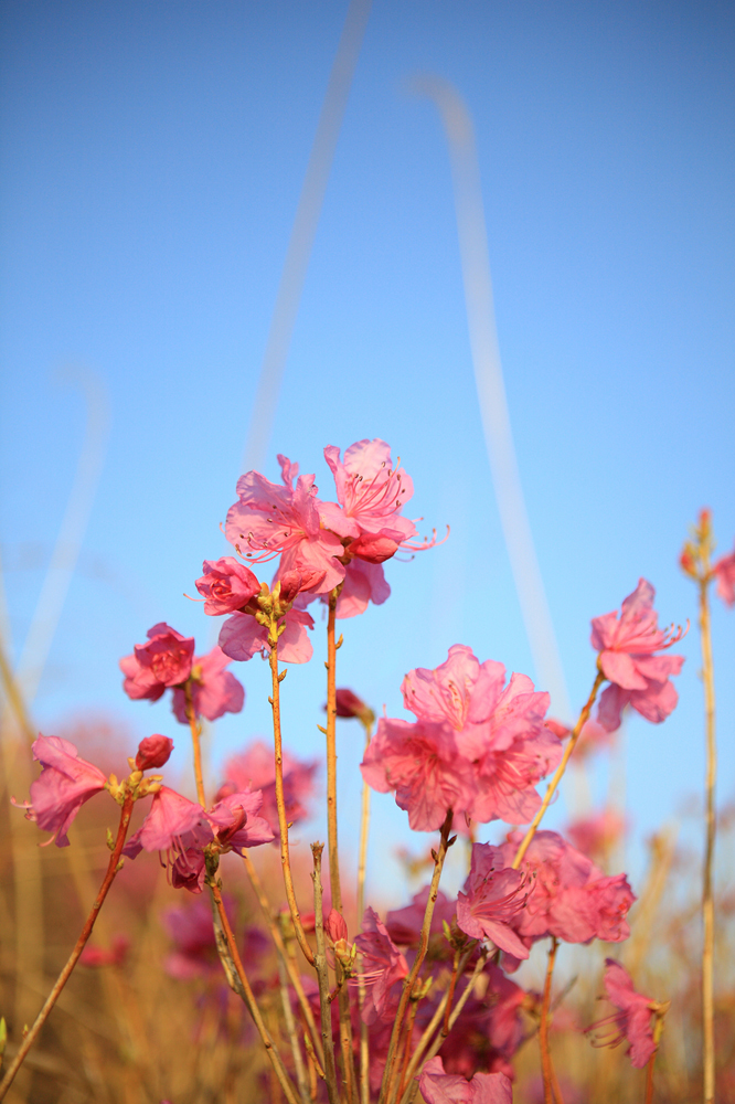 건강관리지도,광진구,성동,송파,강동,구의동,건강요법,의료기기,저주파자극기,건강유지