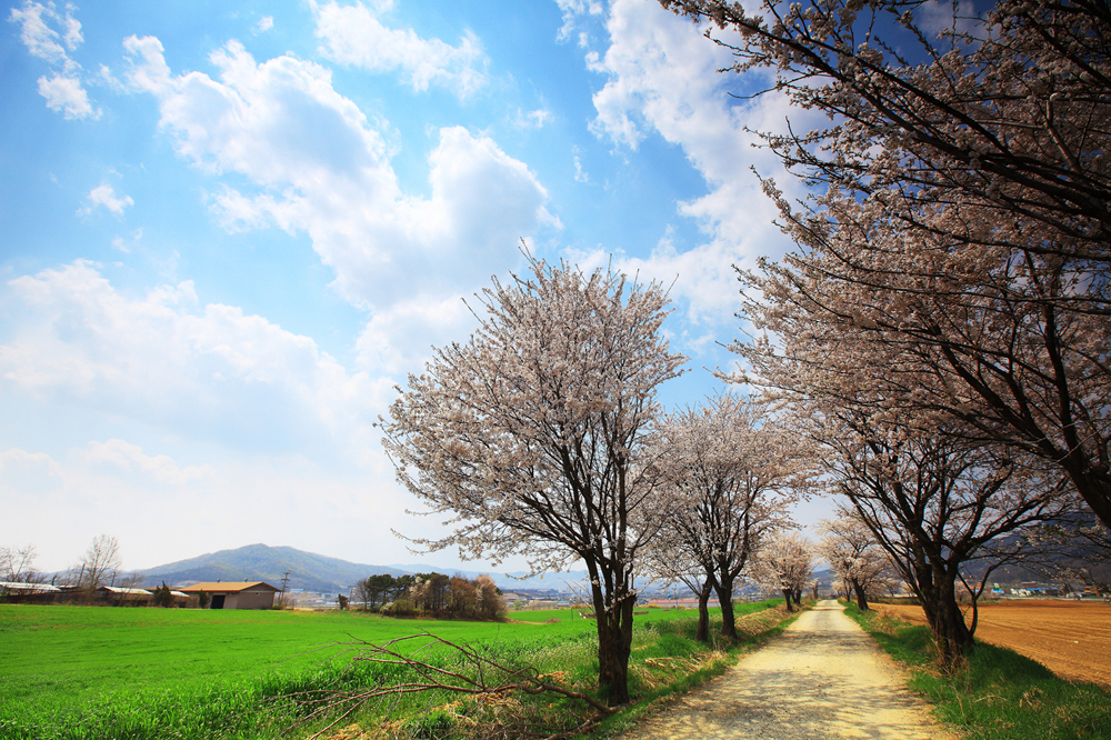 건강관리지도,광진구,성동,송파,강동,구의동,건강요법,의료기기,저주파자극기,건강유지