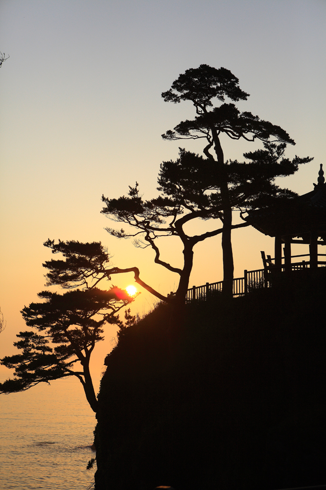 건강관리지도,광진구,성동,송파,강동,구의동,건강요법,의료기기,저주파자극기,건강유지