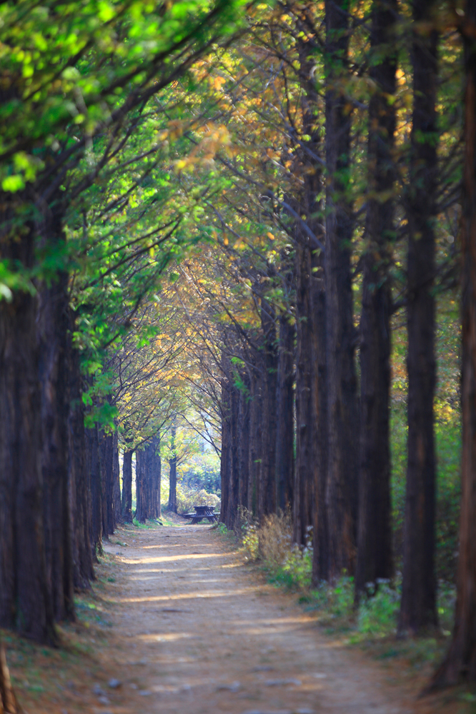 건강관리지도,광진구,성동,송파,강동,구의동,건강요법,의료기기,저주파자극기,건강유지