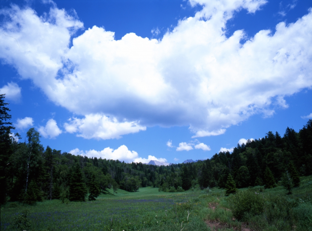 건강관리지도,광진구,성동,송파,강동,구의동,건강요법,의료기기,저주파자극기,건강유지