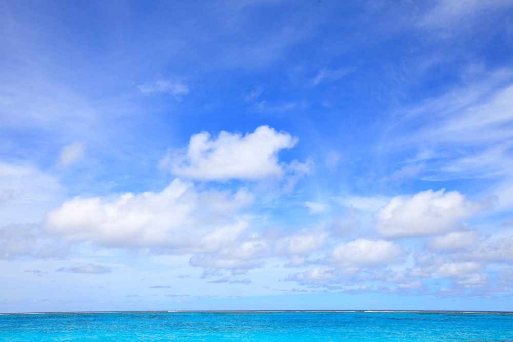 건강관리지도,광진구,성동,송파,강동,구의동,건강요법,의료기기,저주파자극기,건강유지