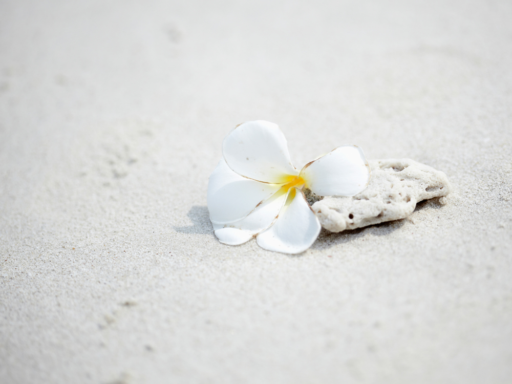 건강관리지도,광진구,성동,송파,강동,구의동,건강요법,의료기기,저주파자극기,건강유지