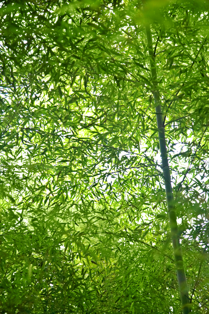 건강관리지도,광진구,성동,송파,강동,구의동,건강요법,의료기기,저주파자극기,건강유지