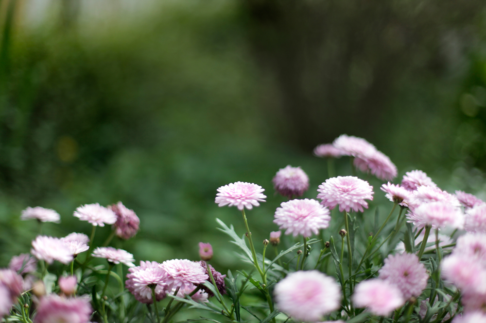 건강관리지도,광진구,성동,송파,강동,구의동,건강요법,의료기기,저주파자극기,건강유지