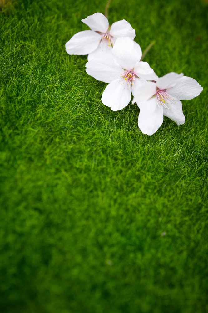 건강관리지도,광진구,성동,송파,강동,구의동,건강요법,의료기기,저주파자극기,건강유지