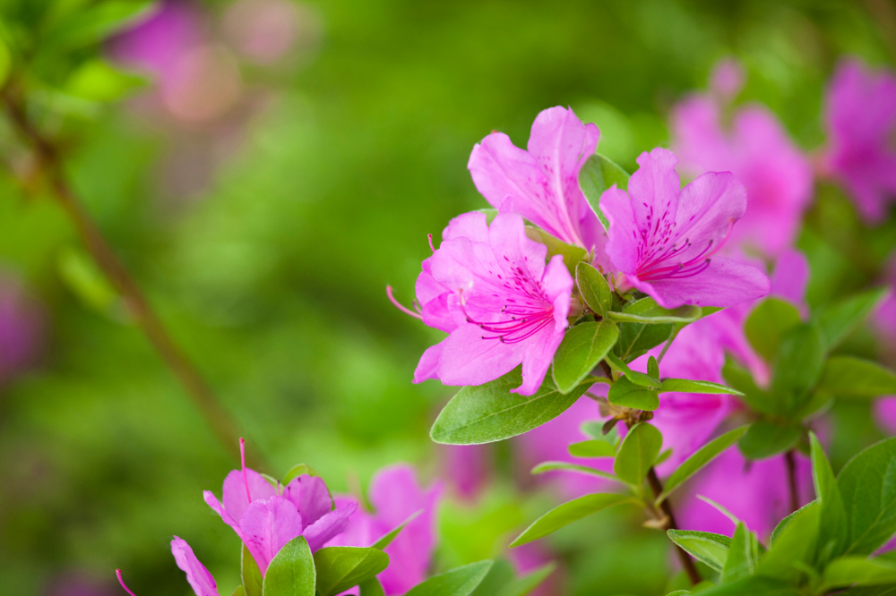 건강관리지도,광진구,성동,송파,강동,구의동,건강요법,의료기기,저주파자극기,건강유지