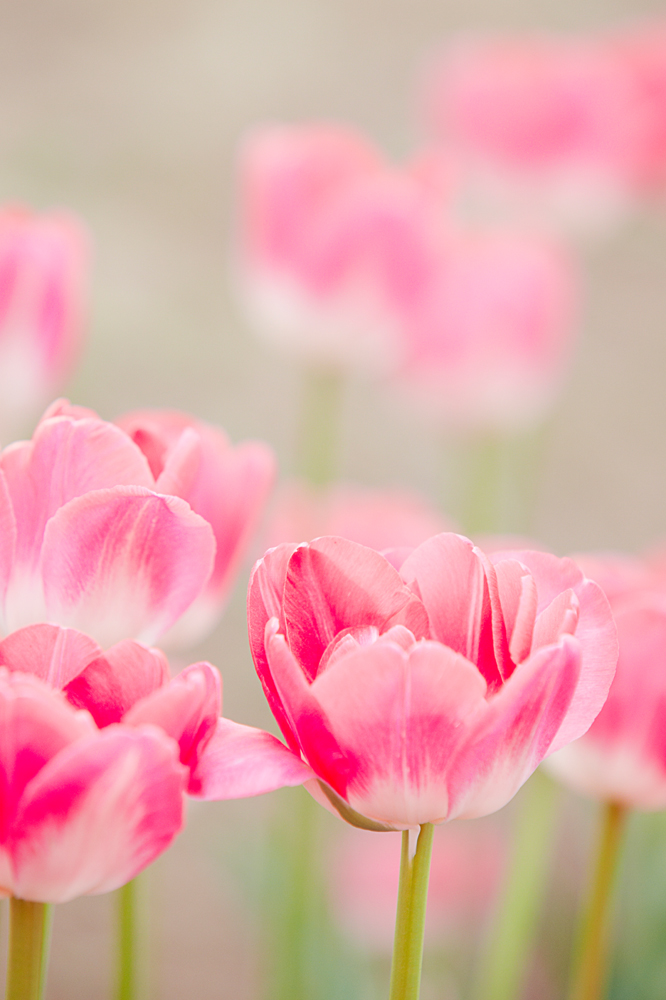 건강관리지도,광진구,성동,송파,강동,구의동,건강요법,의료기기,저주파자극기,건강유지