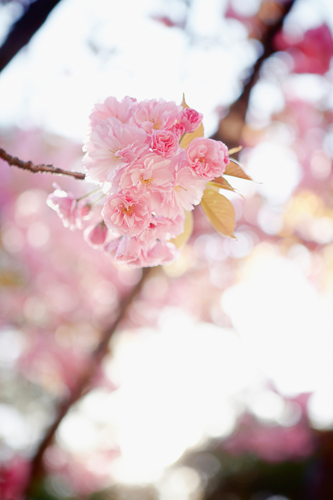 건강관리지도,광진구,성동,송파,강동,구의동,건강요법,의료기기,저주파자극기,건강유지