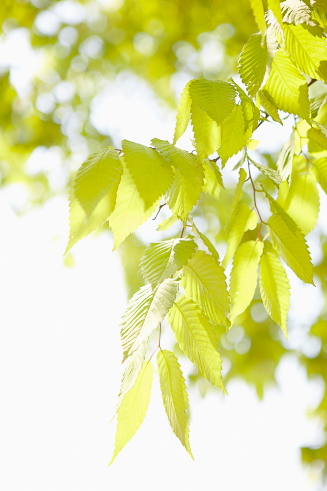 건강관리지도,광진구,성동,송파,강동,구의동,건강요법,의료기기,저주파자극기,건강유지