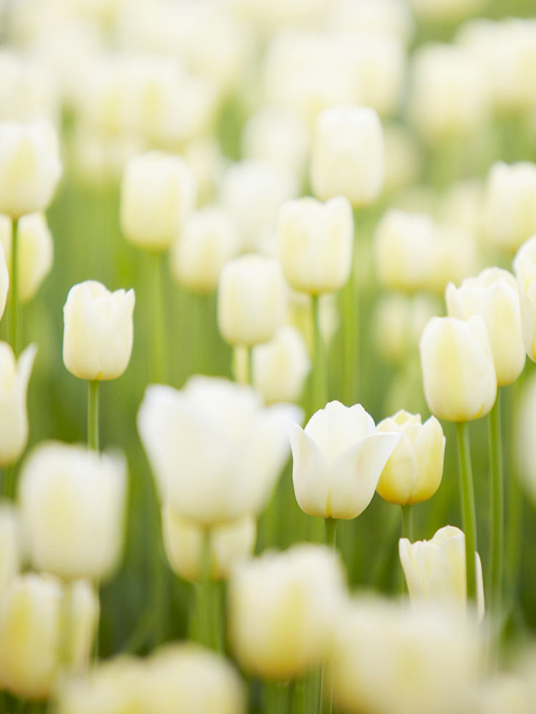 건강관리지도,광진구,성동,송파,강동,구의동,건강요법,의료기기,저주파자극기,건강유지