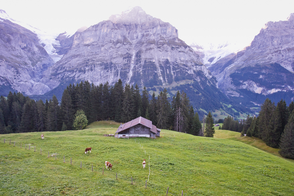 건강관리지도,광진구,성동,송파,강동,구의동,건강요법,의료기기,저주파자극기,건강유지