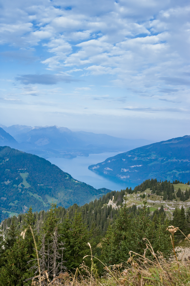 건강관리지도,광진구,성동,송파,강동,구의동,건강요법,의료기기,저주파자극기,건강유지