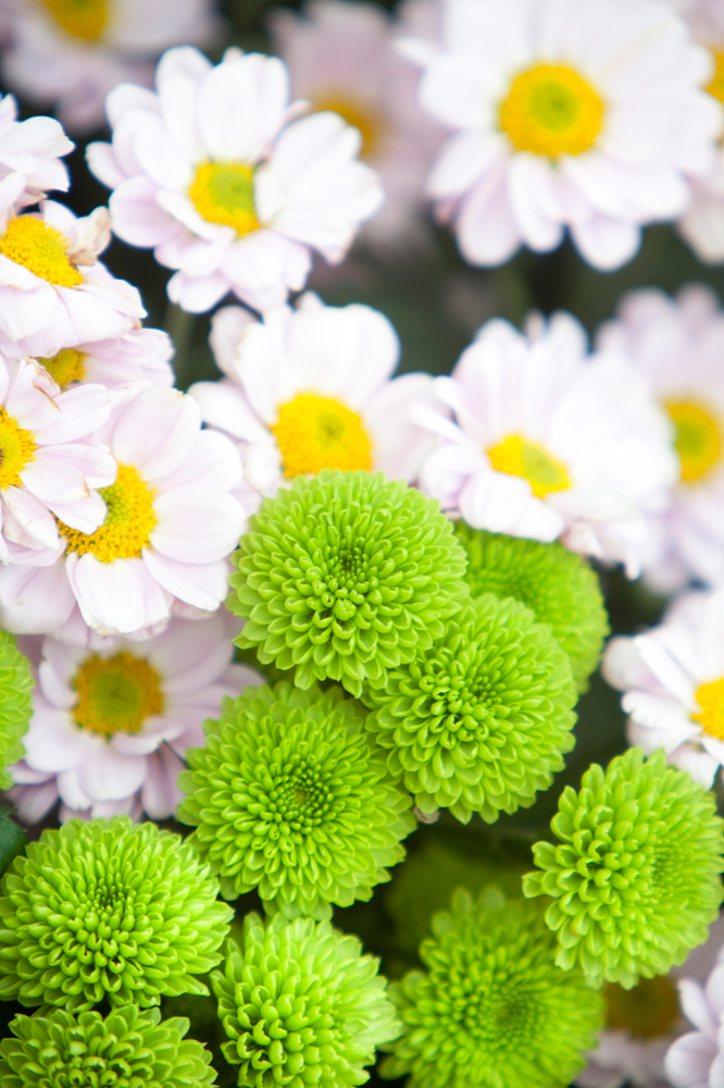 건강관리지도,광진구,성동,송파,강동,구의동,건강요법,의료기기,저주파자극기,건강유지