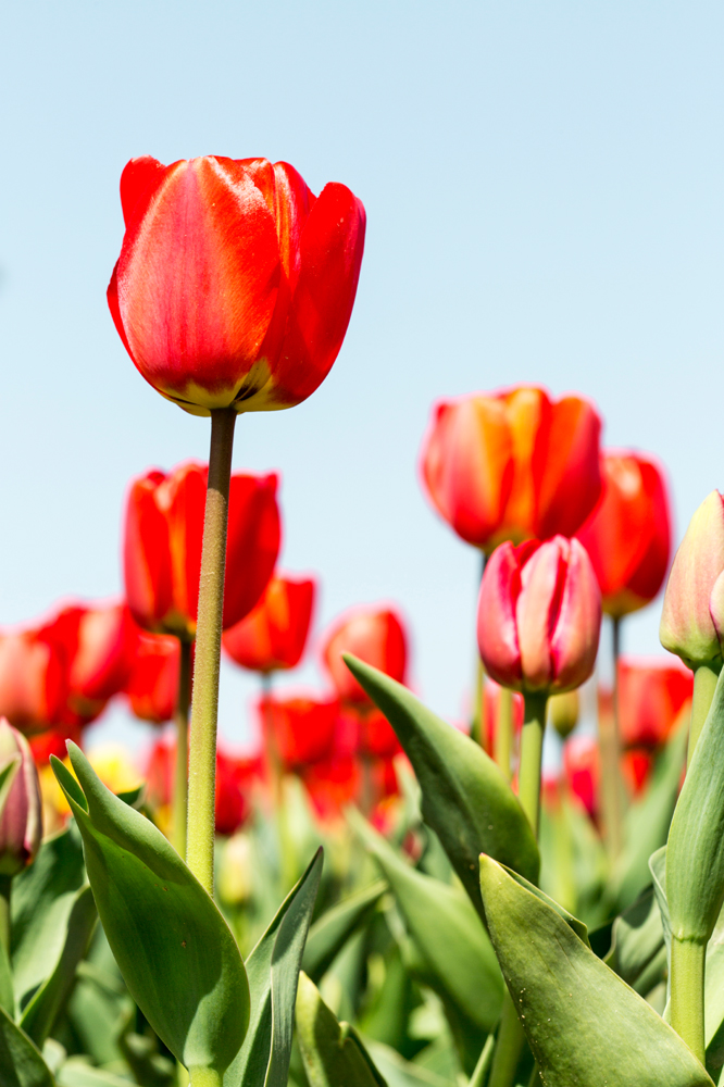 건강관리지도,광진구,성동,송파,강동,구의동,건강요법,의료기기,저주파자극기,건강유지