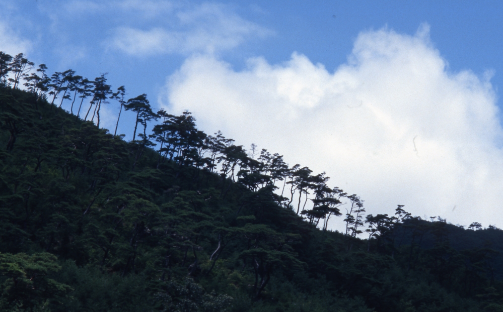 건강관리지도,광진구,성동,송파,강동,구의동,건강요법,의료기기,저주파자극기,건강유지