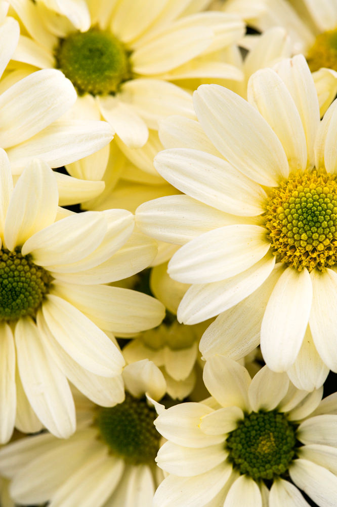 건강관리지도,광진구,성동,송파,강동,구의동,건강요법,의료기기,저주파자극기,건강유지