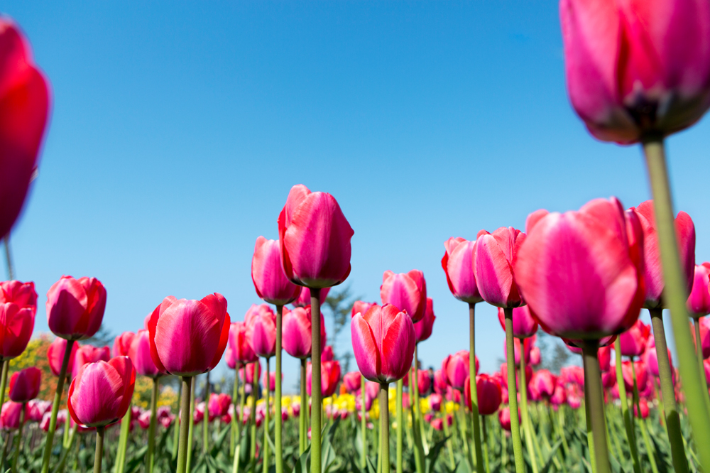 건강관리지도,광진구,성동,송파,강동,구의동,건강요법,의료기기,저주파자극기,건강유지