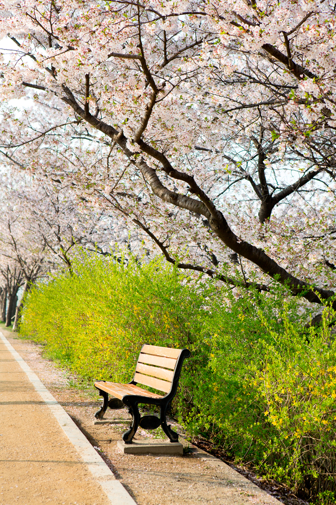 건강관리지도,광진구,성동,송파,강동,구의동,건강요법,의료기기,저주파자극기,건강유지