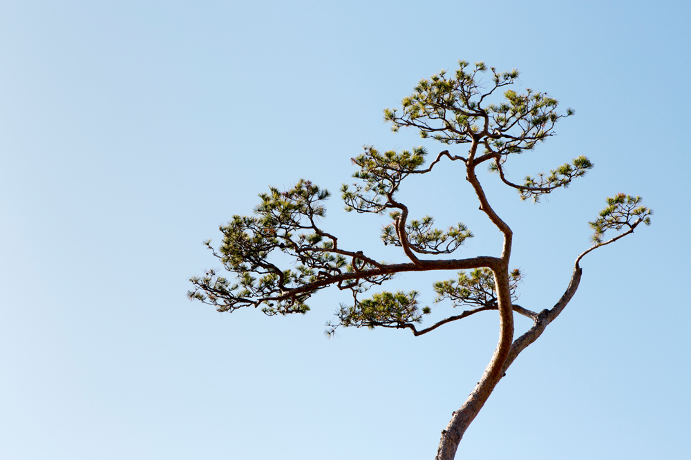 건강관리지도,광진구,성동,송파,강동,구의동,건강요법,의료기기,저주파자극기,건강유지