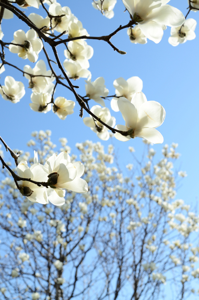 건강관리지도,광진구,성동,송파,강동,구의동,건강요법,의료기기,저주파자극기,건강유지