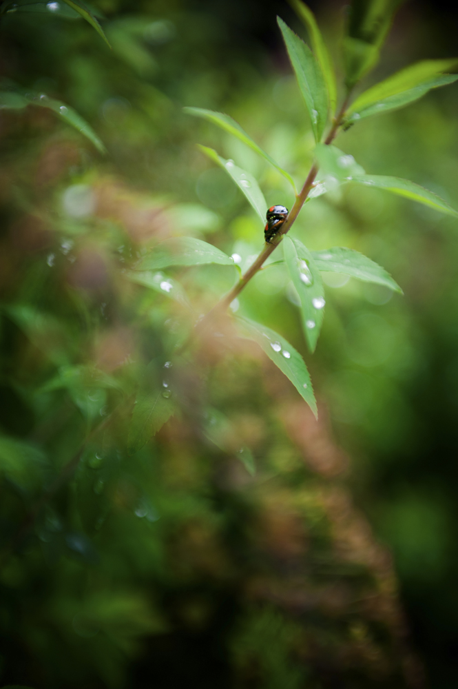 건강관리지도,광진구,성동,송파,강동,구의동,건강요법,의료기기,저주파자극기,건강유지