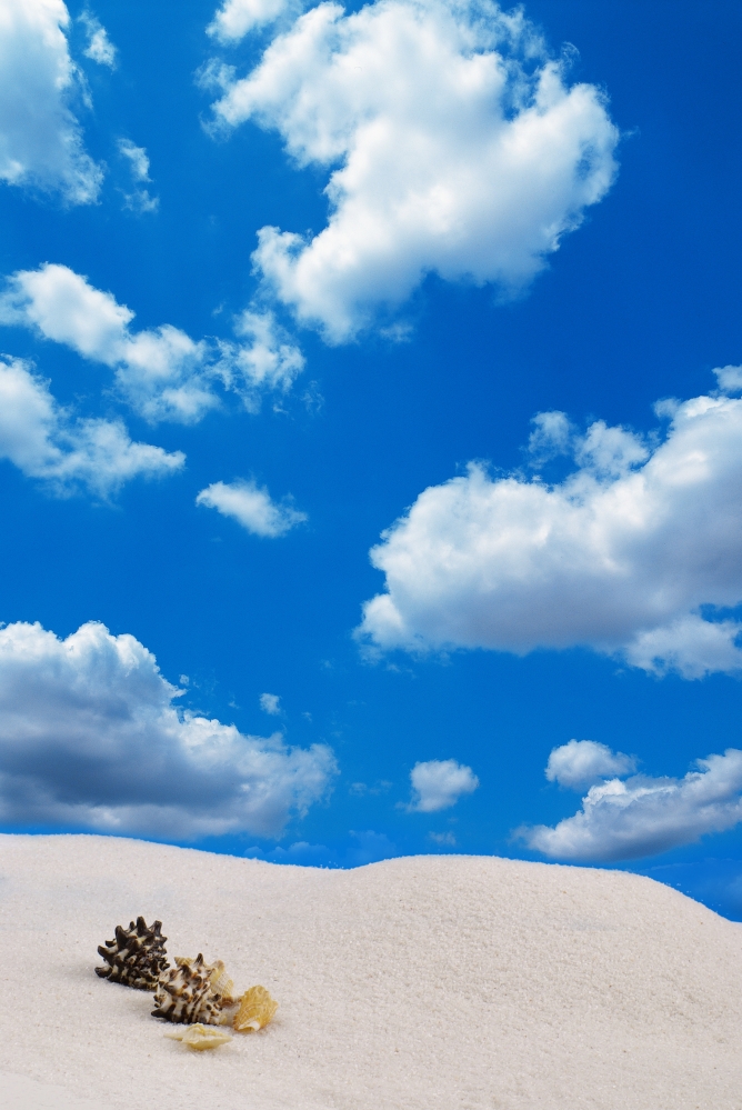 건강관리지도,광진구,성동,송파,강동,구의동,건강요법,의료기기,저주파자극기,건강유지