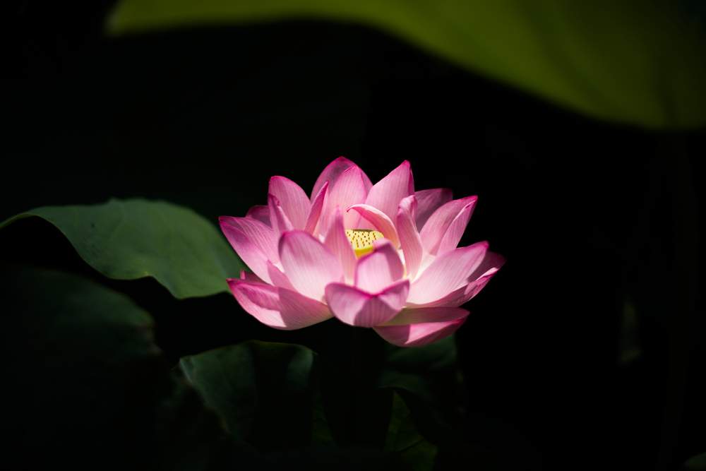 건강관리지도,광진구,성동,송파,강동,구의동,건강요법,의료기기,저주파자극기,건강유지