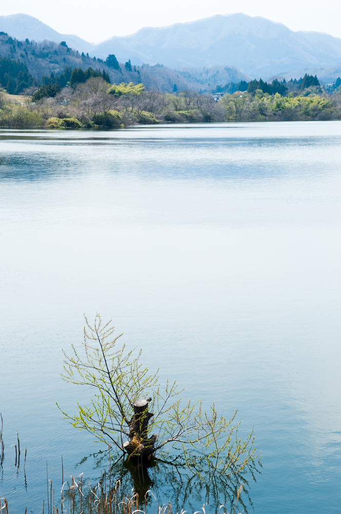 건강관리지도,광진구,성동,송파,강동,구의동,건강요법,의료기기,저주파자극기,건강유지