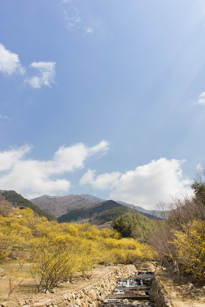 건강관리지도,광진구,성동,송파,강동,구의동,건강요법,의료기기,저주파자극기,건강유지