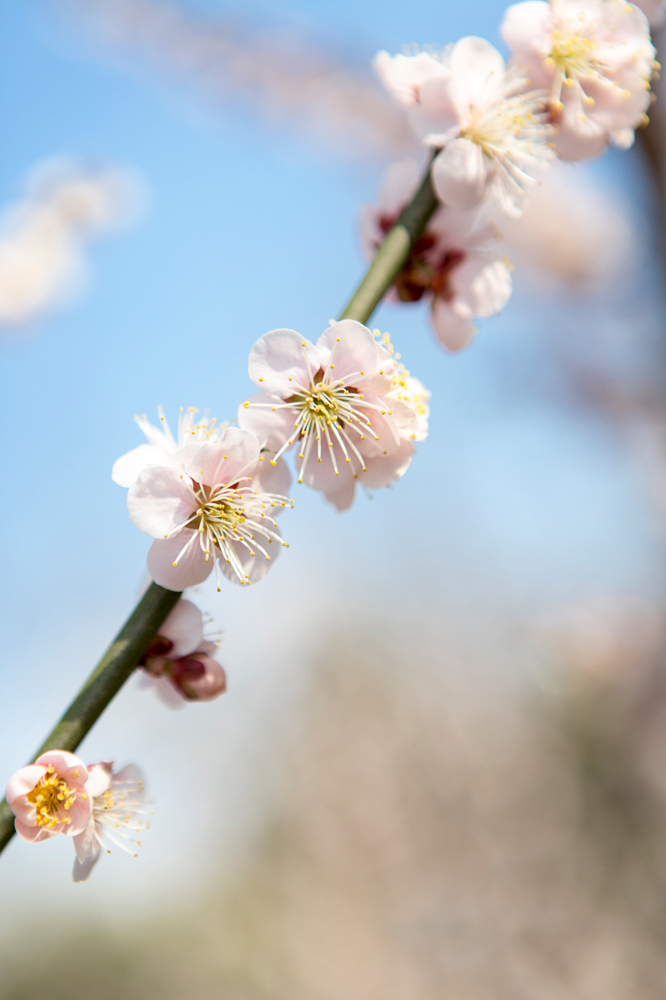 건강관리지도,광진구,성동,송파,강동,구의동,건강요법,의료기기,저주파자극기,건강유지