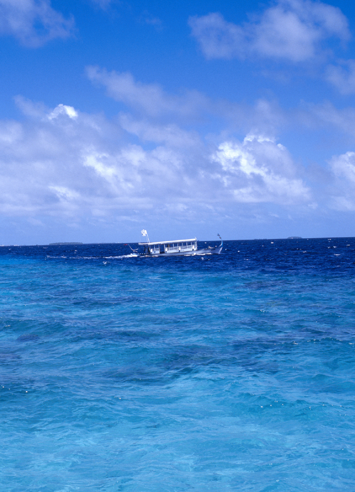 건강관리지도,광진구,성동,송파,강동,구의동,건강요법,의료기기,저주파자극기,건강유지