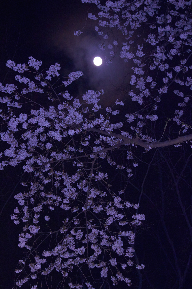 건강관리지도,광진구,성동,송파,강동,구의동,건강요법,의료기기,저주파자극기,건강유지