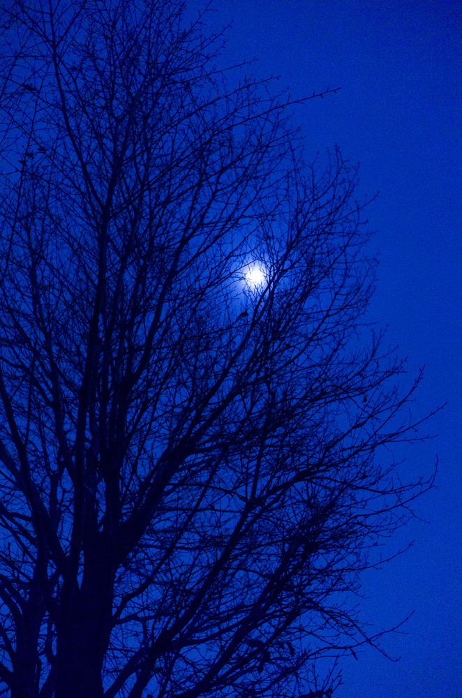 건강관리지도,광진구,성동,송파,강동,구의동,건강요법,의료기기,저주파자극기,건강유지