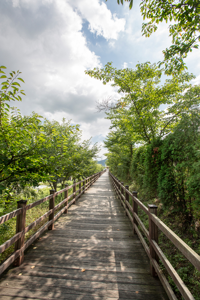 건강관리지도,광진구,성동,송파,강동,구의동,건강요법,의료기기,저주파자극기,건강유지