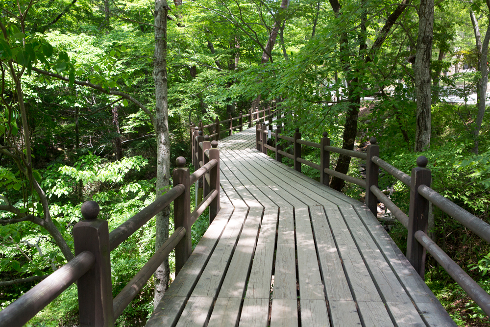 건강관리지도,광진구,성동,송파,강동,구의동,건강요법,의료기기,저주파자극기,건강유지