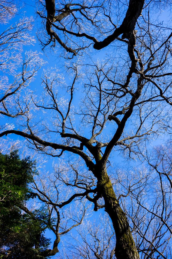건강관리지도,광진구,성동,송파,강동,구의동,건강요법,의료기기,저주파자극기,건강유지