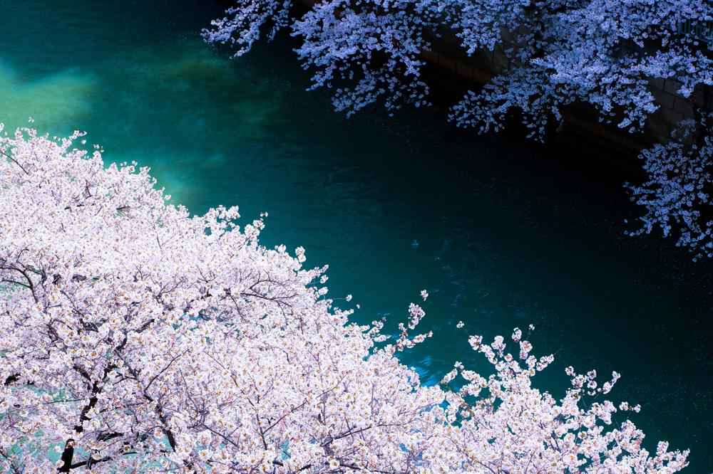 건강관리지도,광진구,성동,송파,강동,구의동,건강요법,의료기기,저주파자극기,건강유지