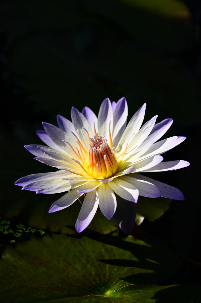 건강관리지도,광진구,성동,송파,강동,구의동,건강요법,의료기기,저주파자극기,건강유지