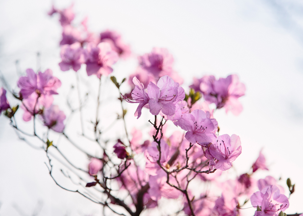 건강관리지도,광진구,성동,송파,강동,구의동,건강요법,의료기기,저주파자극기,건강유지